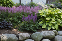 Chestnut Circle Garden Tour